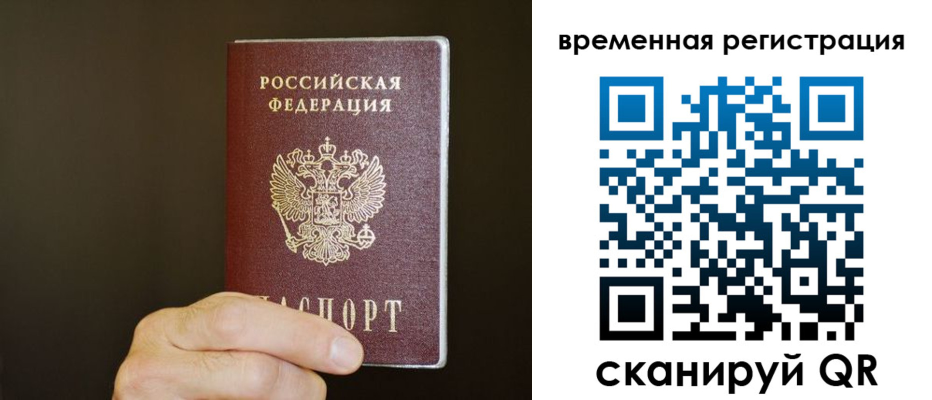 прописка гарантия в Арсеньеве